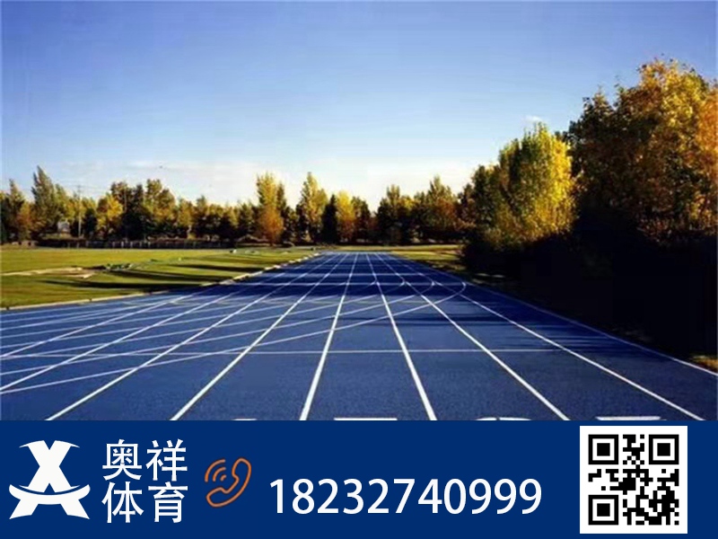 全塑型塑胶跑道